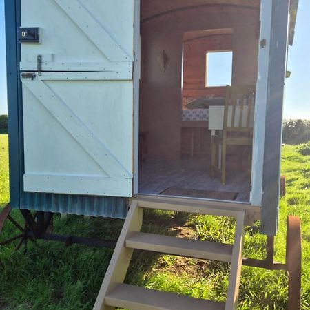 Coast Path Camping Saint Ishmaels  المظهر الخارجي الصورة