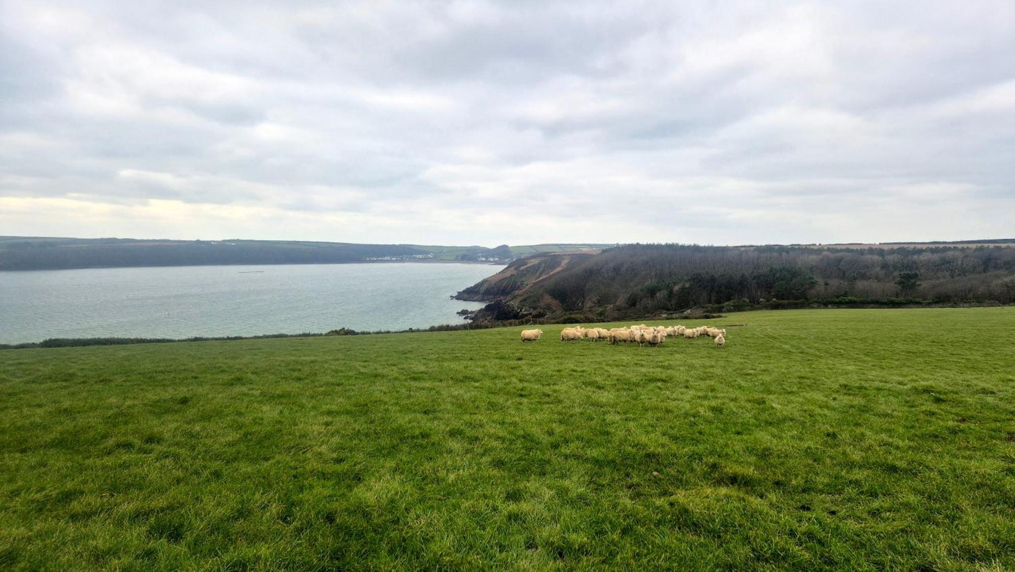 Coast Path Camping Saint Ishmaels  المظهر الخارجي الصورة